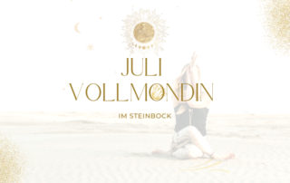 JULI VOLLMONDIN IM STEINBOCK - Das Bewegte Haus