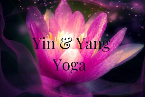 Yin & Yang Yoga - Das Bewegte Haus